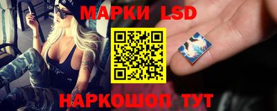 прущий лед Кингисепп