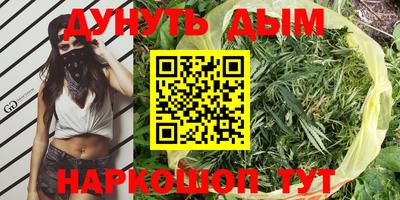 стаф Кинель
