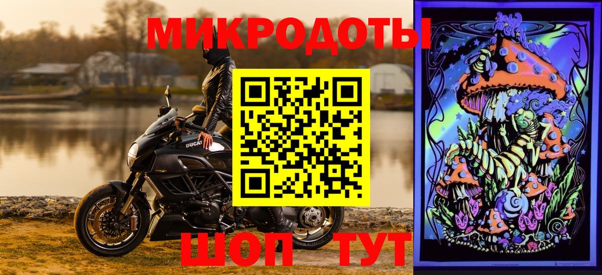 Коммунар  Псилоцибиновые грибы мицелий  Вход с VPN  Псилоцибиновые грибы Psilocybine cubensis 